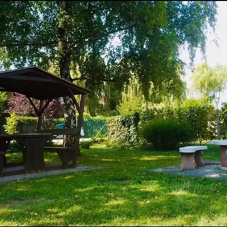 Vizparti Eden * זמראדי